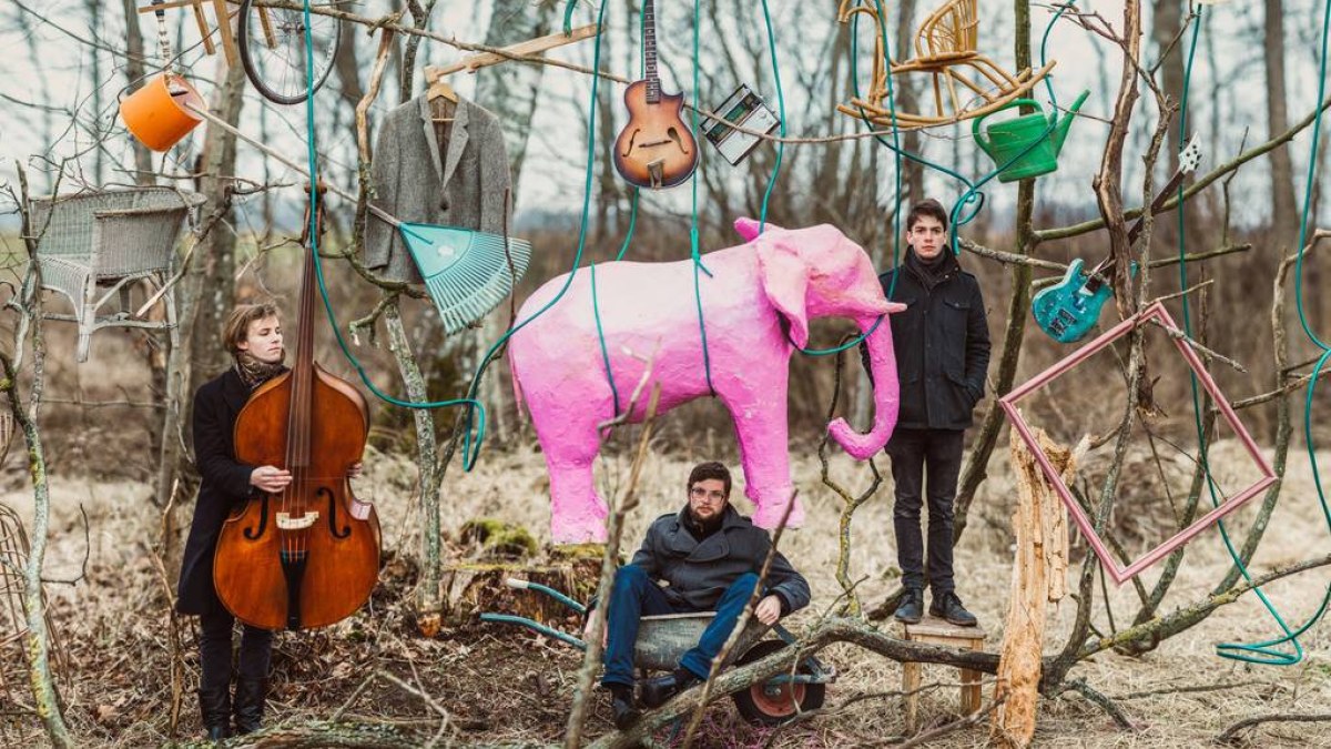„The Pink Elephant“ / Koncerto organizatorių nuotr.