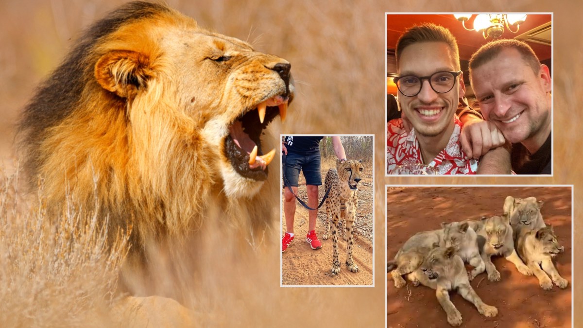 Mantas Bertulis ir Danielius Bunkus Zambijoje lankėsi laukinių gyvūnų rezervate / Žmonės.lt koliažas, Shutterstock ir socialinio tinklo nuotr.