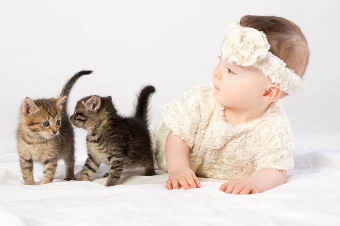 Kūdikis žaidžiai su kačiukais / Fotolia nuotr.
