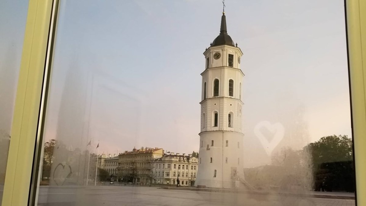 Vilniaus katedra