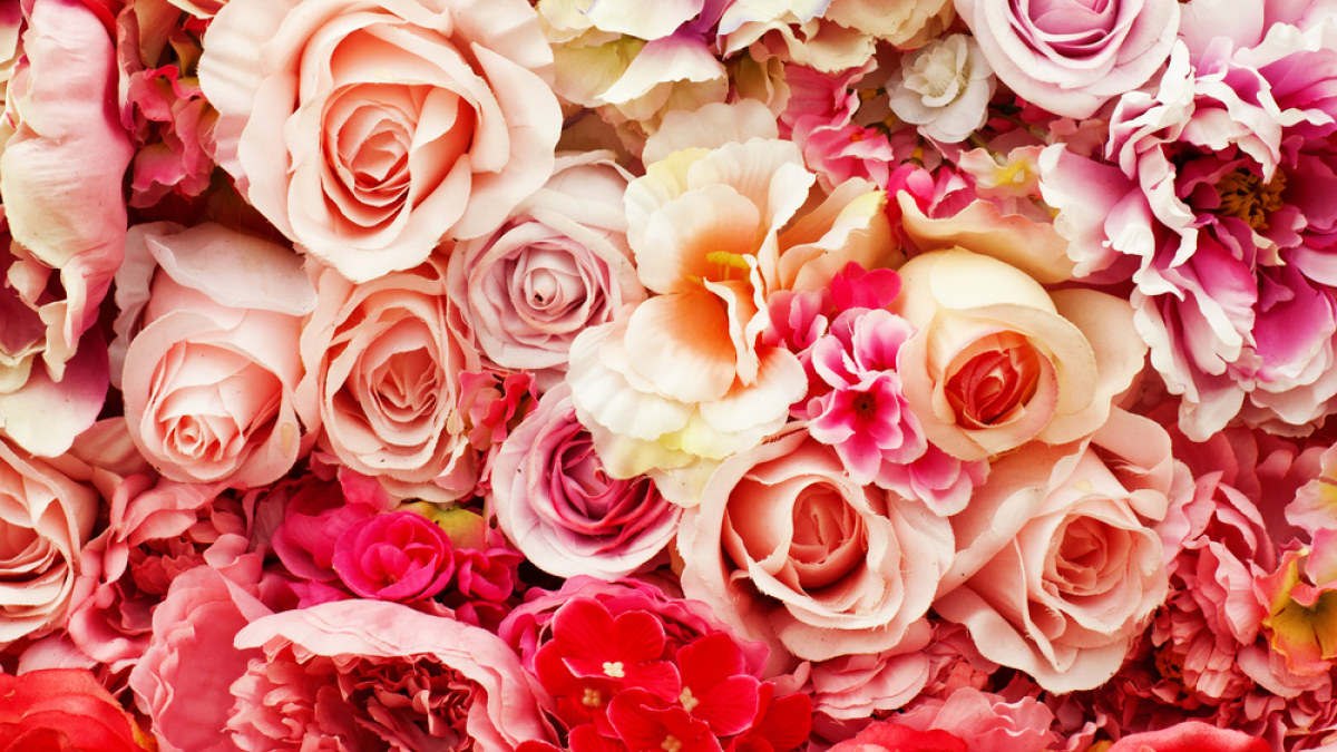Gėlių žiedai  / Shutterstock nuotr.