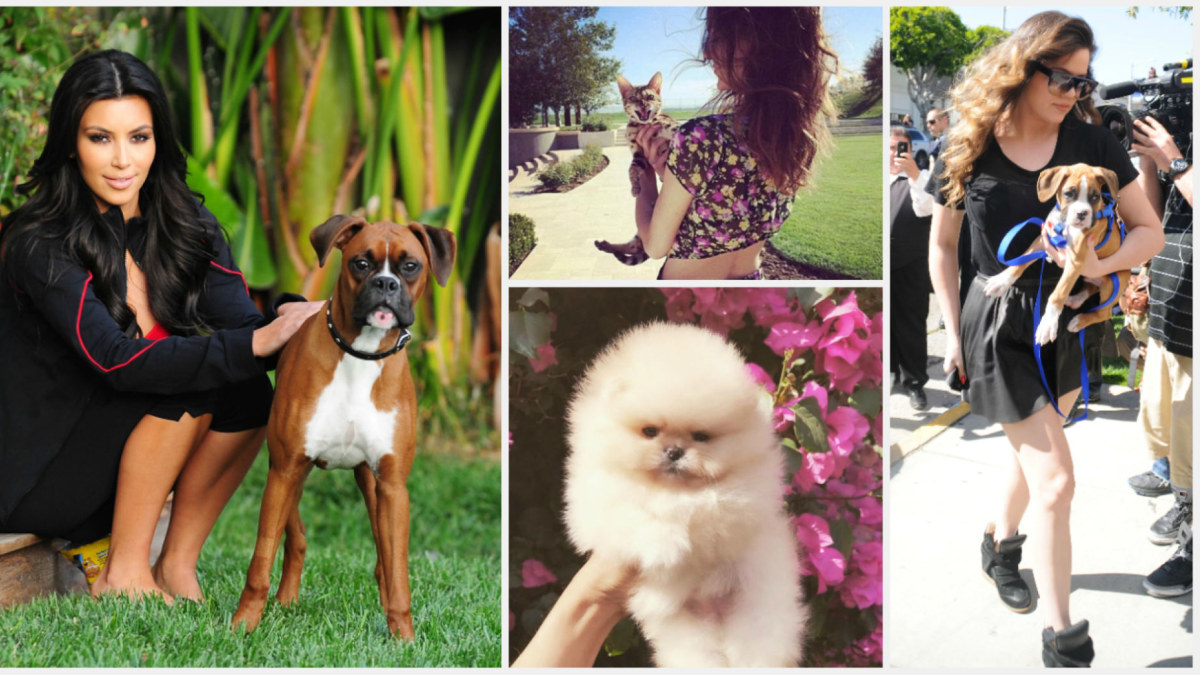 Kokia Kardashianų šeimos augintinių likimai? / ViDA Press ir Instagram nuotr.