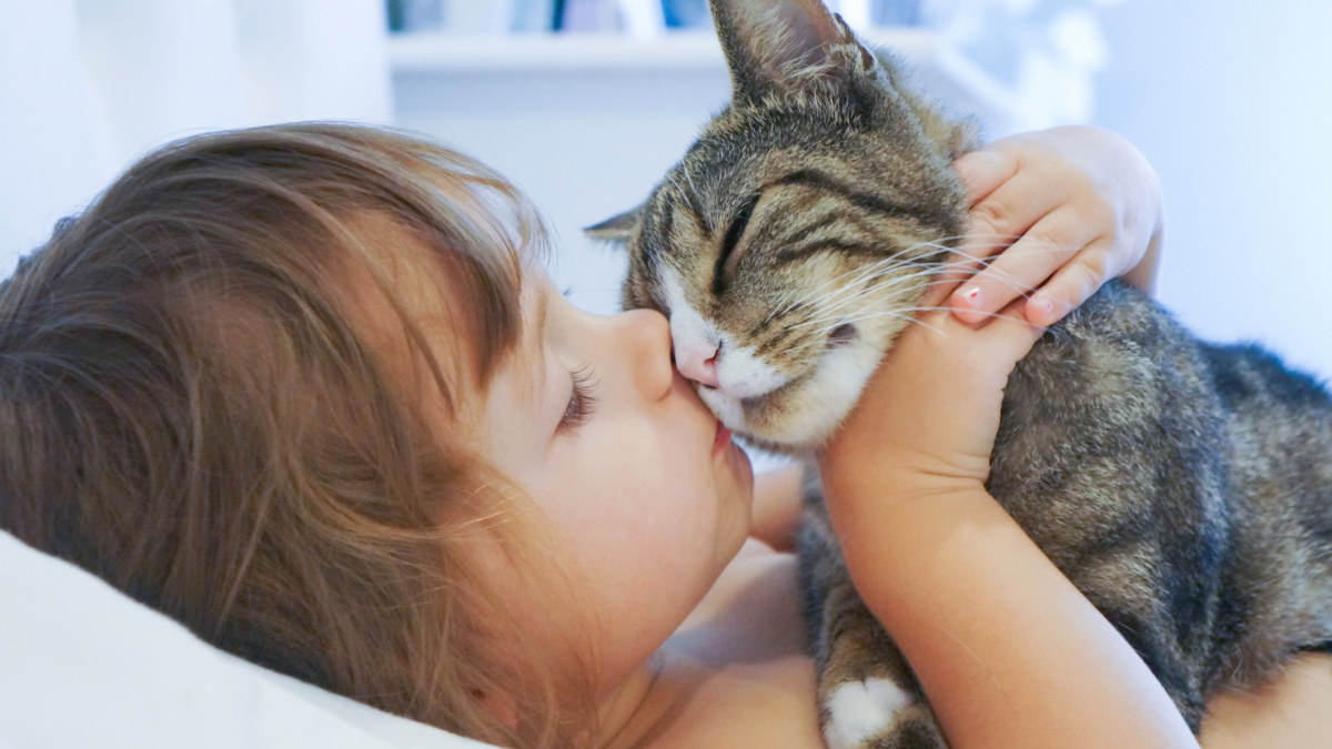Mergaitė ir katinas. / Shutterstock nuotr.