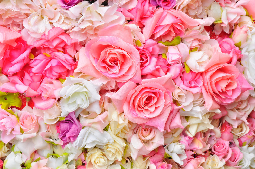 Gražios pastelinių spalvų gėlės / Shutterstock nuotr.