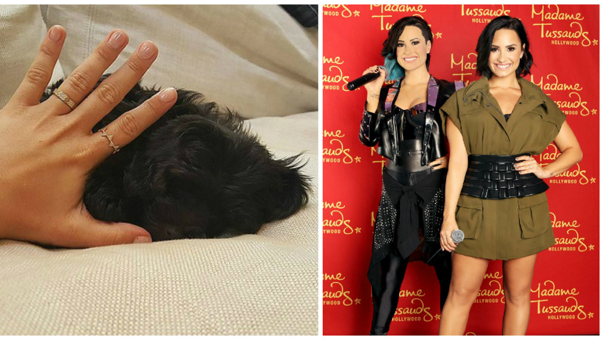 Demi Lovato gimimo dienos proga gavo naują augintinį ir vaškinę figūrą / „Scanpix“ ir „Instagram“ nuotr.