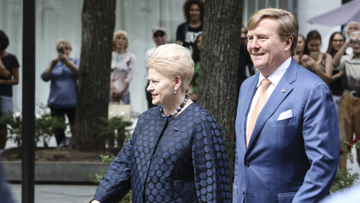 Dalia Grybauskaitė ir Willemas-Alexanderas / Teodoro Biliūno / BNS nuotr.