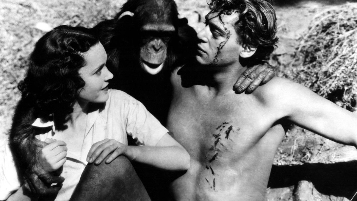 Filmas „Tarzanas“