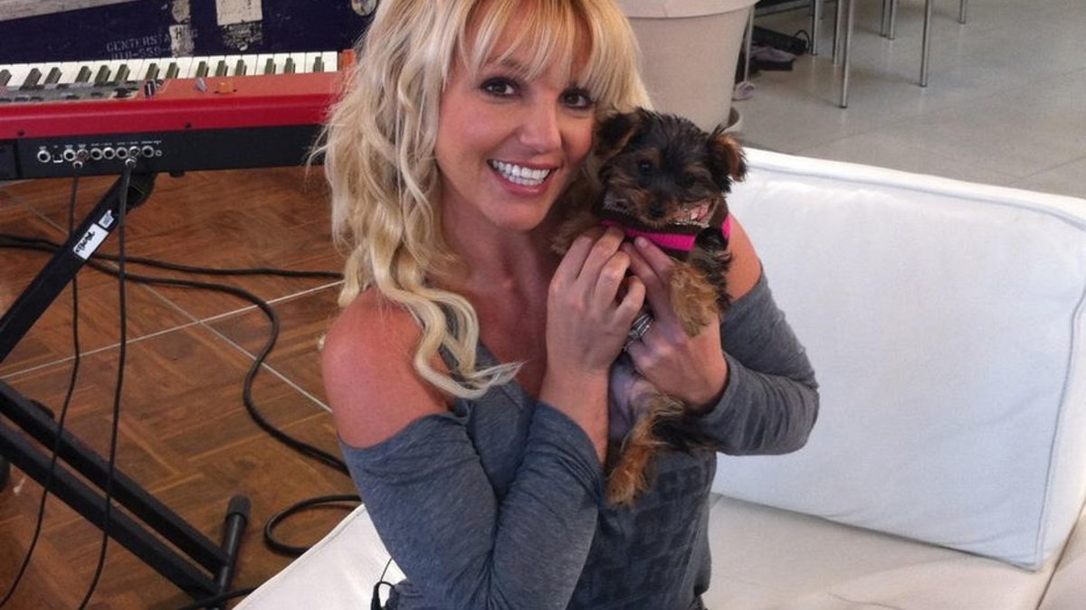 Britney Spears su naujuoju augintiniu / „Twitter“ nuotr.