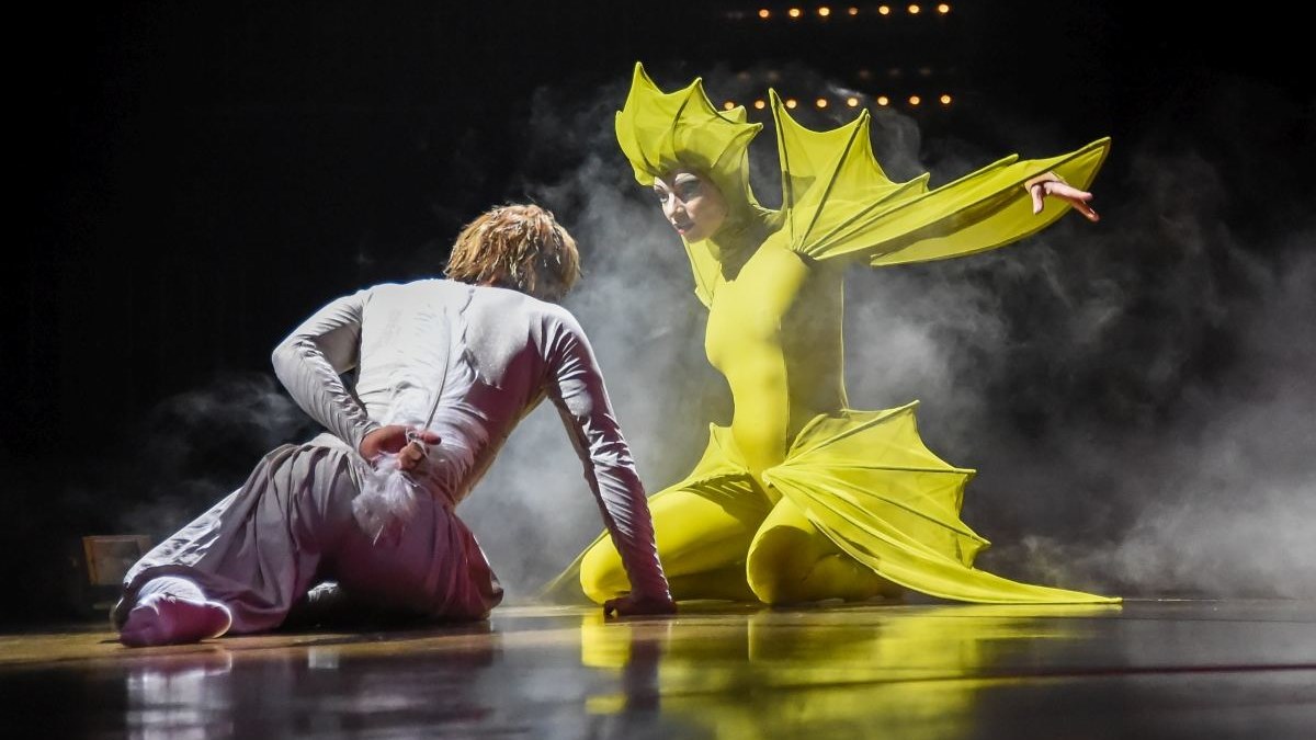 „Cirque du Soleil“ spektaklis „Varekai“ / „Cirque du Soleil“ nuotr.