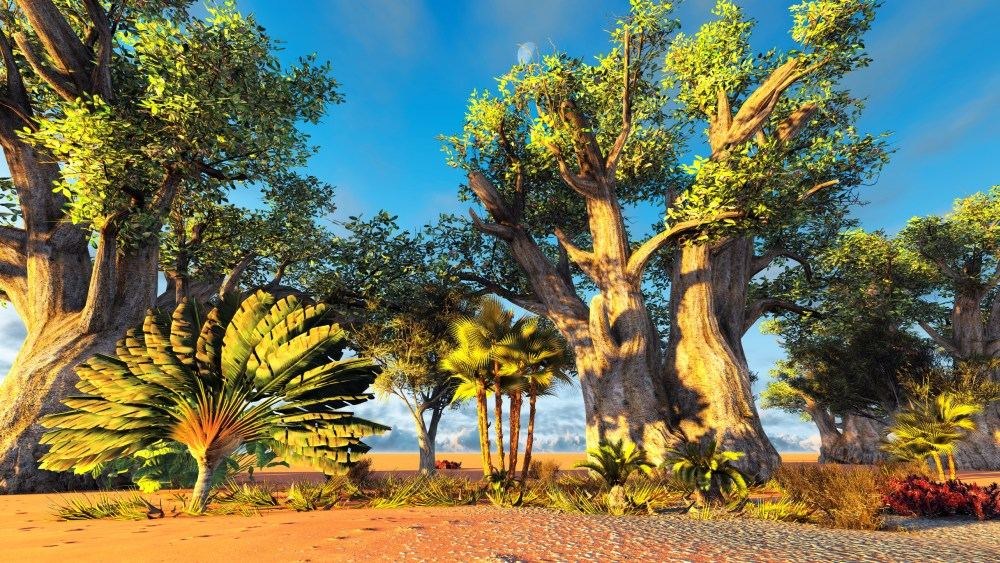 Madagaskaro ravenala dar vadinamas „keliautojų medžiu“  / Fotolia nuotr.