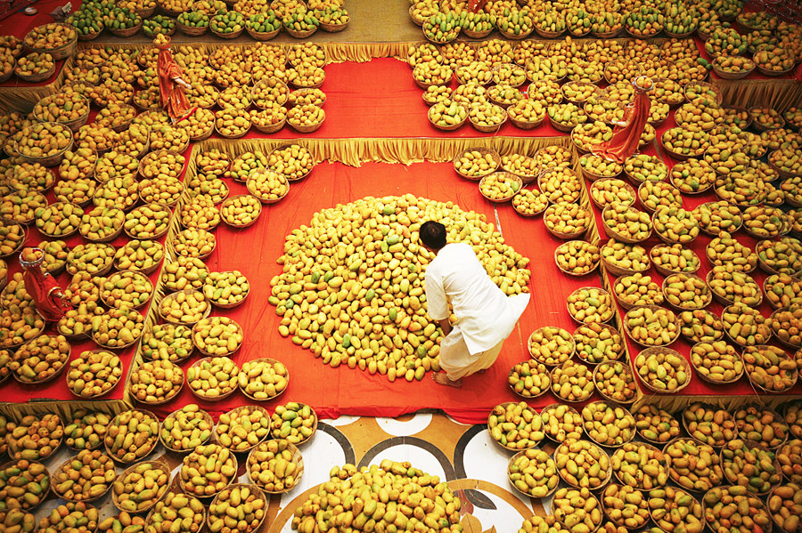 Delyje (Indija) kasmet vykstantis „Tarptautinis mango vaisiaus festivalis“ / „Scanpix“ nuotr.