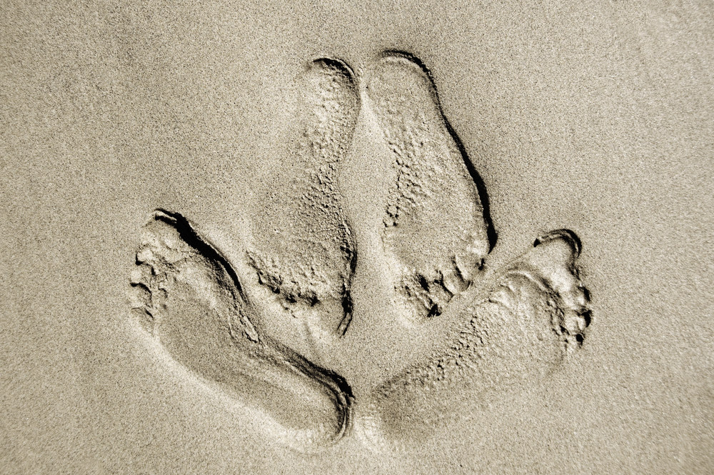 Pėdos smėly. / Shutterstock nuotr.