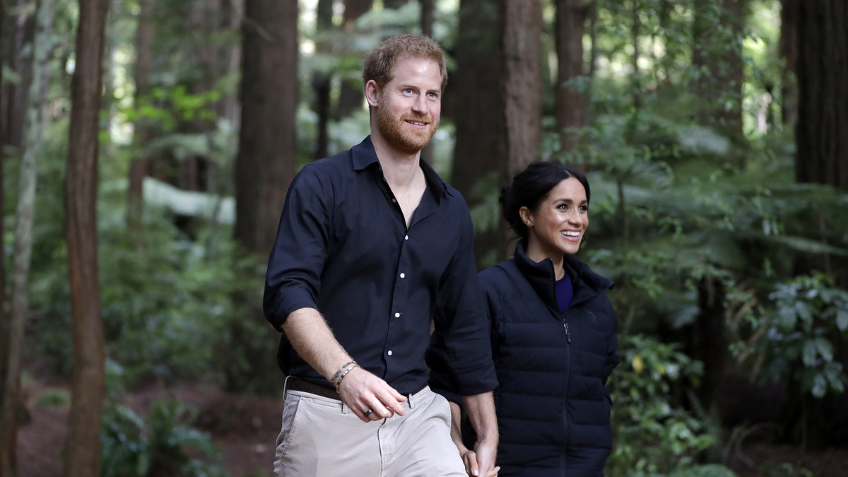 Princas Harry ir Meghan Markle lankėsi „Redwood Treewalk“  / „Scanpix“ nuotr.