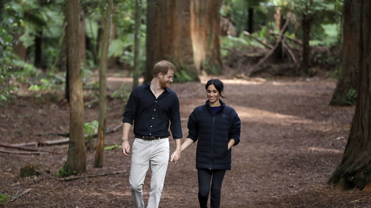Princas Harry ir Meghan Markle lankėsi „Redwood Treewalk“ 