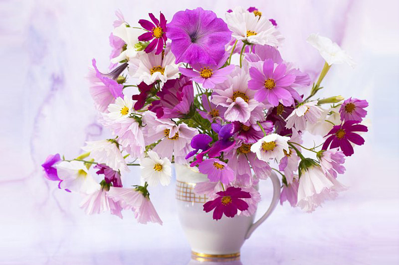 Gėlių puokštė / Shutterstock nuotr.
