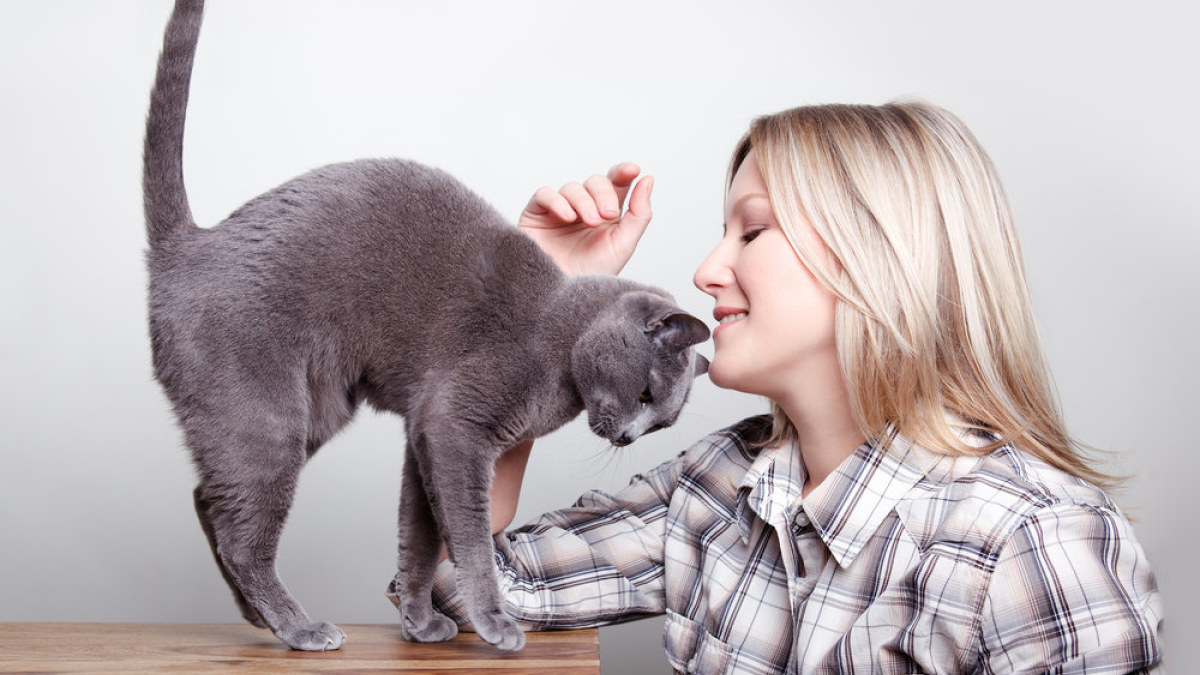 Moteris su kate. / Shutterstock nuotr.