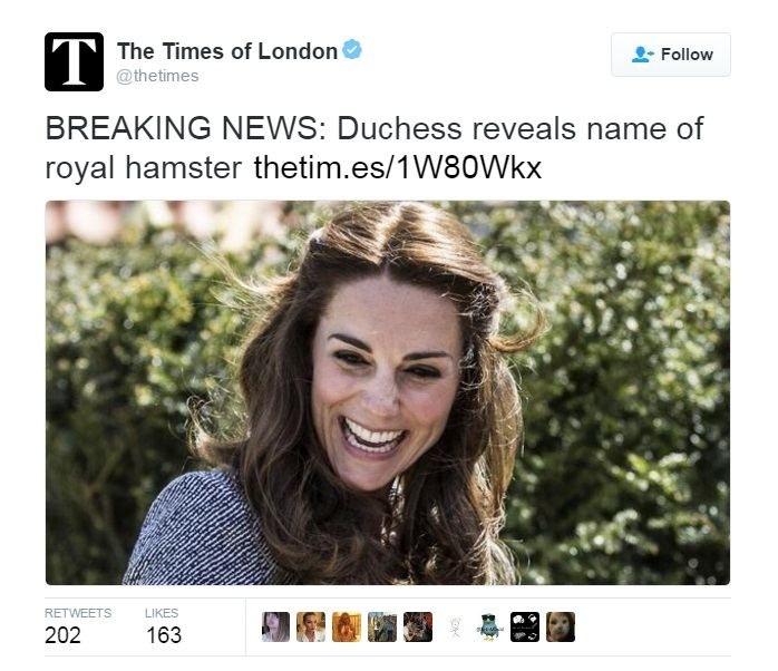 „The Times of London“ skaitytojus papiktino „karštos naujienos“ apie karališkosios šeimos žiurkėno vardą