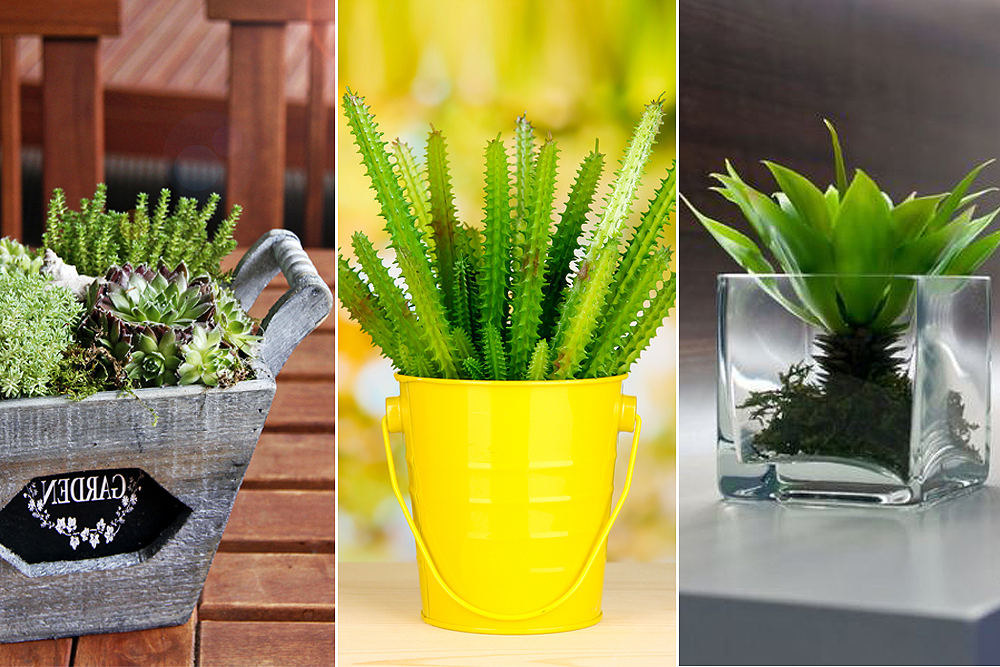 Gėlių vazonų dekoravimo idėjos / Fotolia ir Shutterstock nuotr.