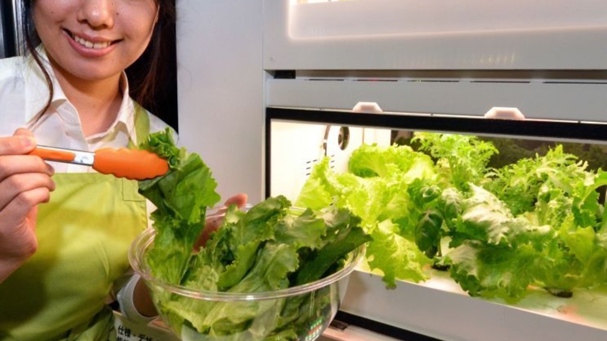 Tokijuje pristatytas naujas technikos stebuklas – namuose naudoti skirtas „daržovių fabrikas“ / AFP/„Scanpix“ nuotr.