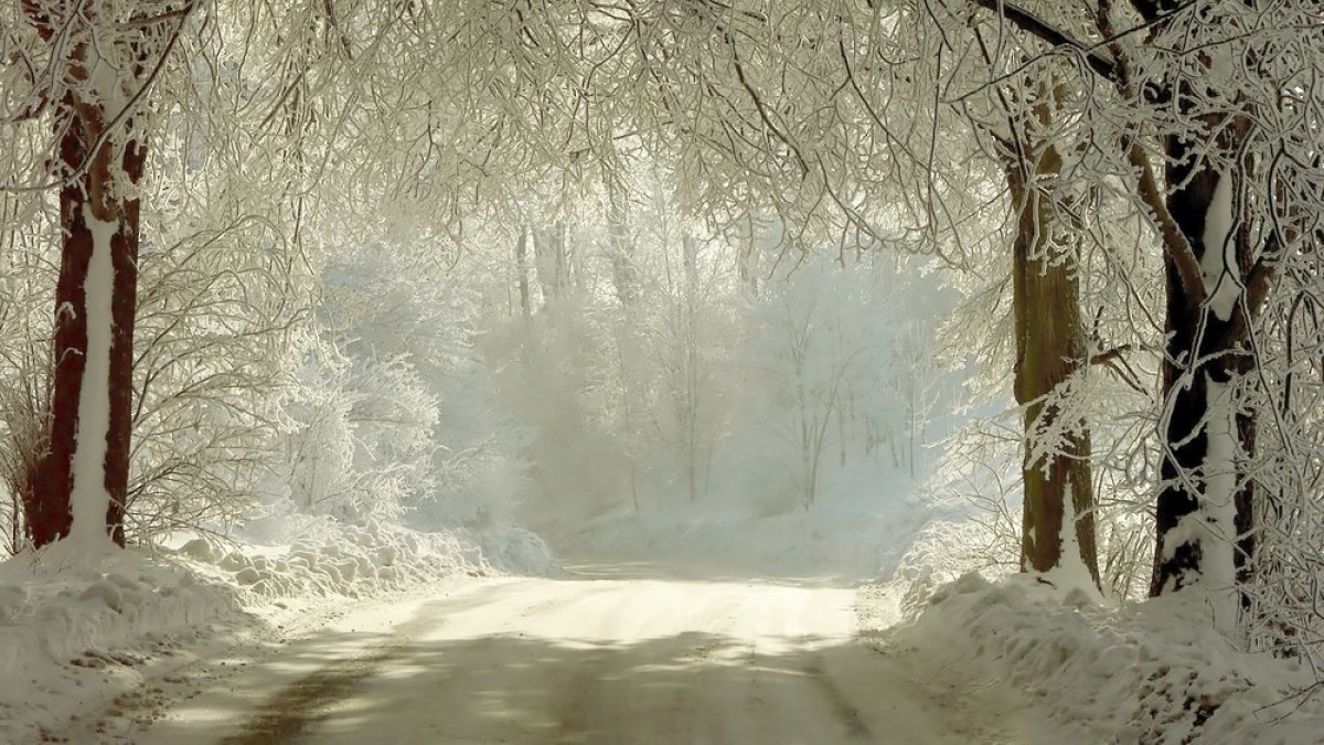 Žiema / „Shutterstock“ nuotr.