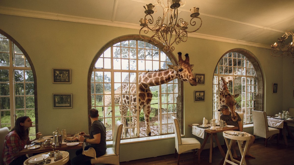 „Giraffe Manor“ Kenijoje / VIDA PRESS nuotrauka