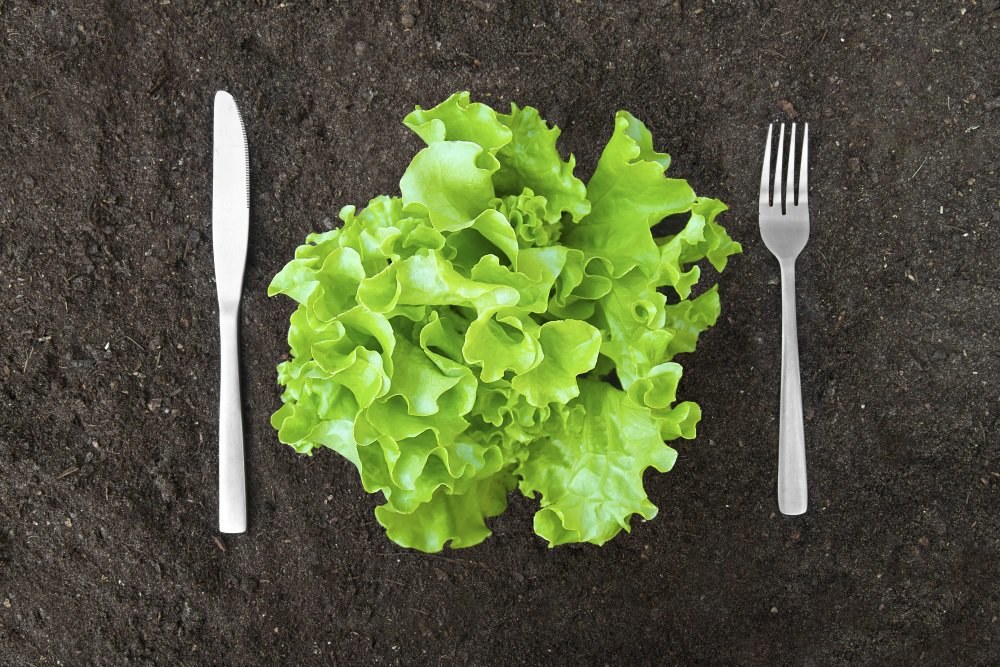 Ekologiškas maistas / „Shutterstock“ nuotr.